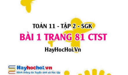 Bài 1 trang 81 Toán 11 tập 2 Chân trời sáng tạo